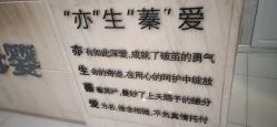 点击看大图 -Cocodemer女性健康·产后恢复(天一广场店)