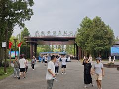 -黄海国家森林公园