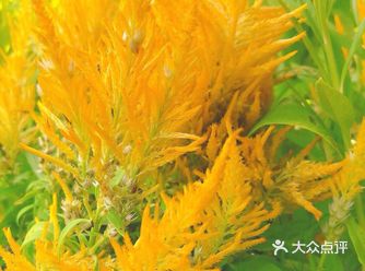 中山公园地铁4号口出来， 再走6分钟左右就可以到门口