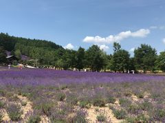 -富田农场