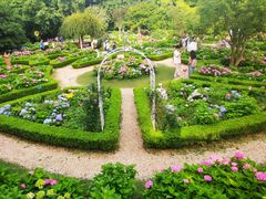 -上海共青森林公园