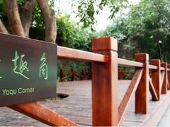 -成都市实验小学(人民中路校区)