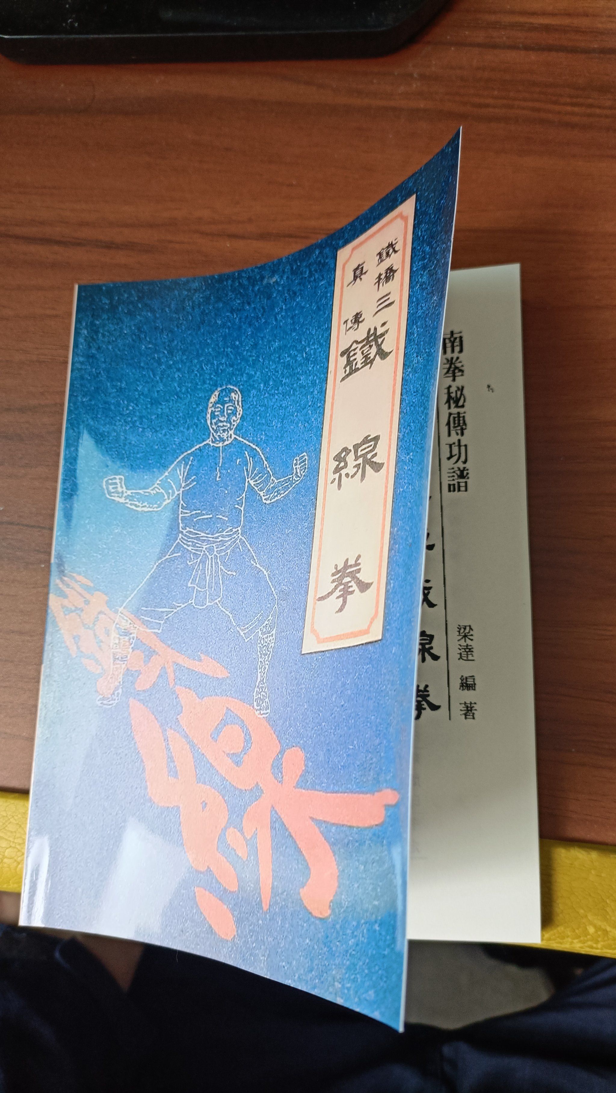 铁桥三真传铁线拳拳谱