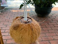 -万兴启丰椰子文化园餐厅