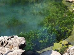 -南京珍珠泉风景区