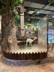 -宝燕乐园(闵行旗舰店)