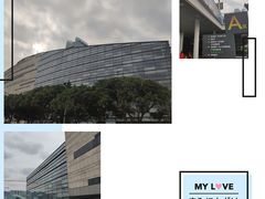 -重庆市江北嘴中央商务区中央公园