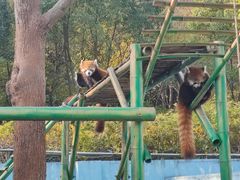 -无锡动物园·太湖欢乐园