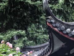 -西湖游船