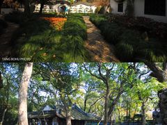 -绮园景区