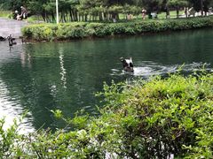 -长白岛森林公园