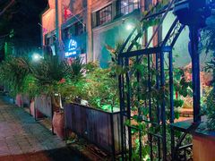 -more than meow吴止猫主题餐厅(承德 中船汇店)