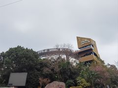 -福道