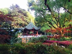 -申粤轩酒楼·三十年粤菜经典(丁香花园店)