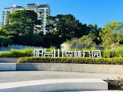 -阳台山森林公园