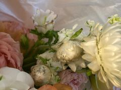 -知物癖(牛王庙店)