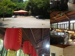 -鲤鱼塘农家山庄