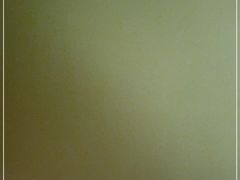 -吉吉向上炭烤鸡肉煲(西小区店)