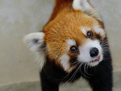 -杭州野生动物世界