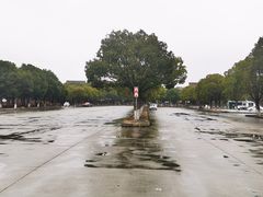 -安飞驰驾校·学车连锁(金高店)