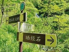-太平万花山景区