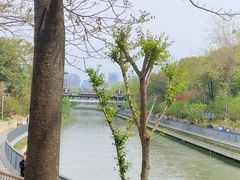 -鸡毛店·川菜(双楠店)