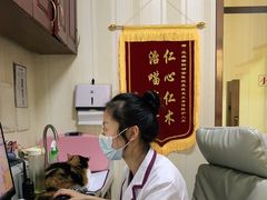 -宠爱国际动物医院· 猫科· 外科·中兽医(长白店)