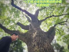 -松江清真寺