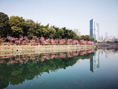 -望江楼公园
