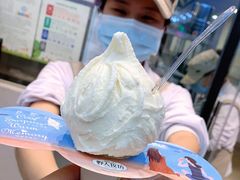 -野人先生现做冰淇淋(西安赛格店)