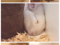 -龙猫仔乐园(惠福东路店)