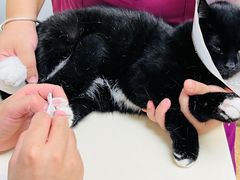 -宠颐生中康贝怡动物医院