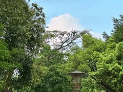 -深圳国际园林花卉博览园