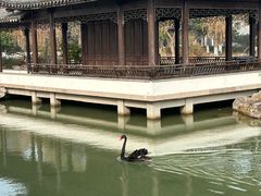-尚湖风景区