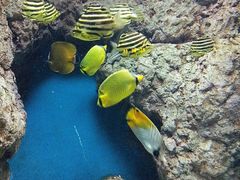 -福州罗源湾海洋世界旅游区