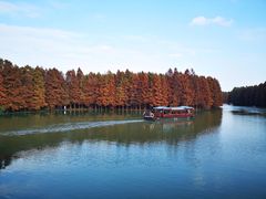 -上海海湾国家森林公园