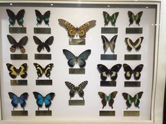 -上海昆虫博物馆