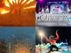 -海合安武汉极地海洋公园
