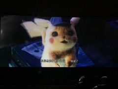-枫花园汽车电影院(朝阳公园店)