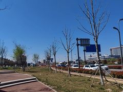 -八分场凉皮老店(正宗)