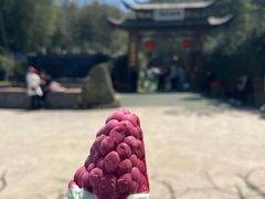 -陶祖圣境风景区