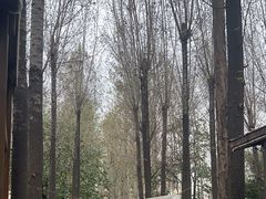 -林间山庄