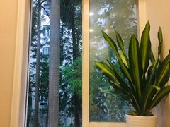 -羊故事·西北融合菜(华侨城店)