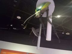 -陕西自然博物馆