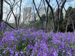 -白塘生态植物园