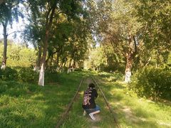 -永定河休闲森林公园