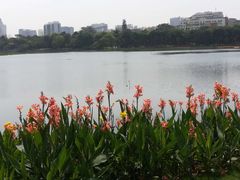 -南宁南湖公园