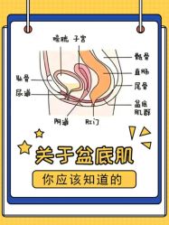 -蓓爱娇琪月子会所(虹口店)