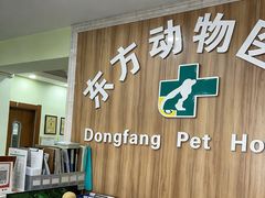 -东方动物医院·宠保定点·骨科·转诊中心(春城路·昆明站分院)
