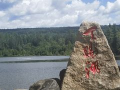 -五营红松林海景区